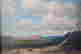item-135639502=2