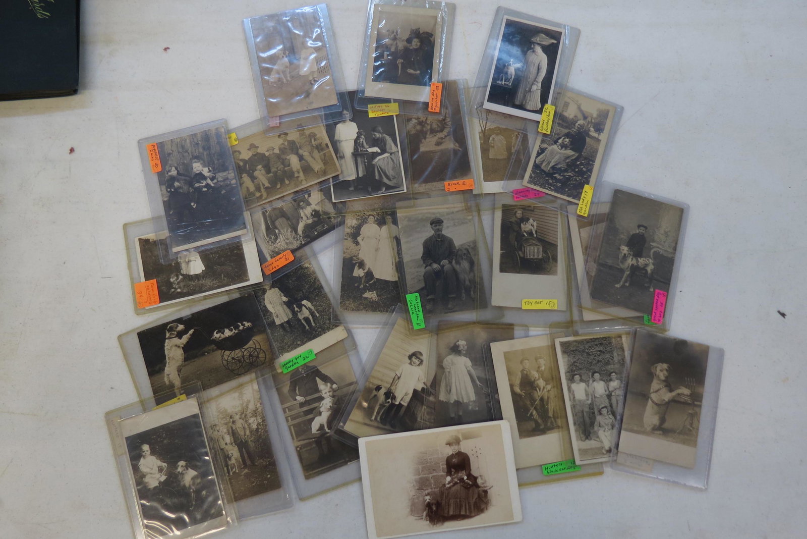 26 Early Photographs of People with Dogs, (1 of 14)