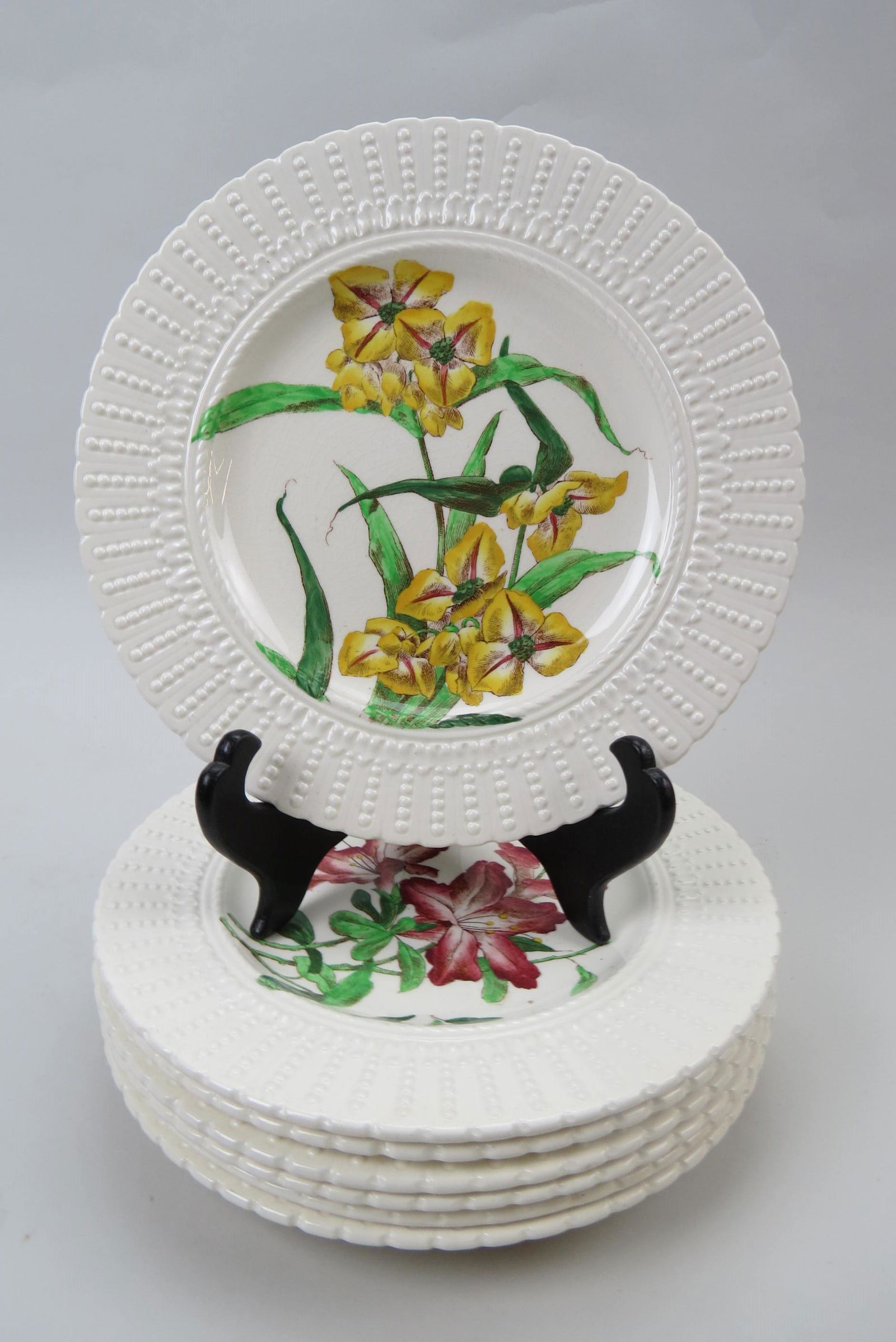 8 Royal Cauldon Botanical Plates, (1 of 10)