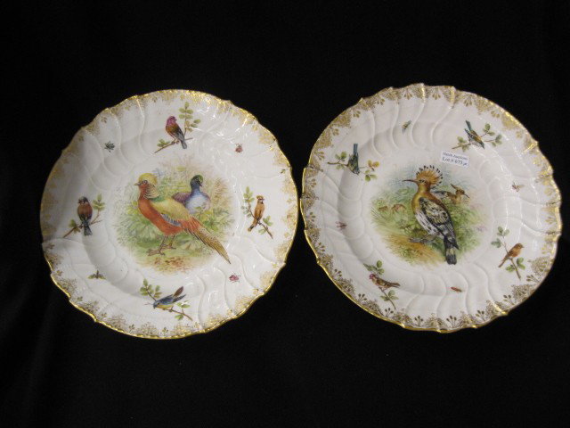 Pair of Fine Handpainted Porcelain Bird Plates, Ro: Royal Berlin mark with Dresden decorator mark, circa 1900, fancy scalloped border, gold trim, birds & insects surrounding central image, 9 1/2", excellent.