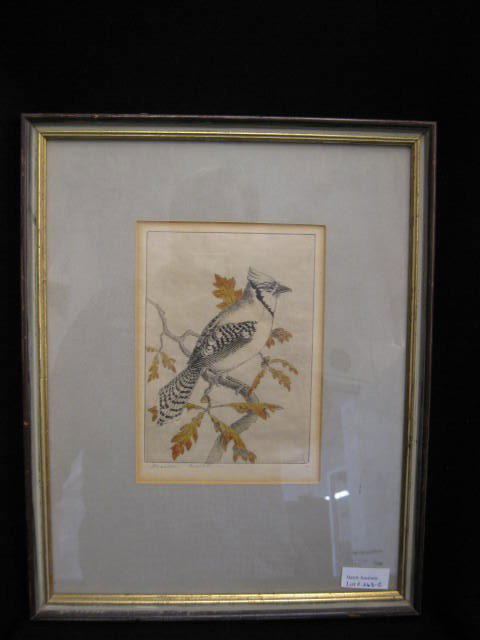 Benson B. Moore, Etching, Blue Jay,: image area 5 1/2" x 7 1/2", edition of 40, pencil signed.The following biography is provided by Stephanie A. Strass. In 1996, she was Guest Curator in Hagerstown, Maryland for the Washington County Mu