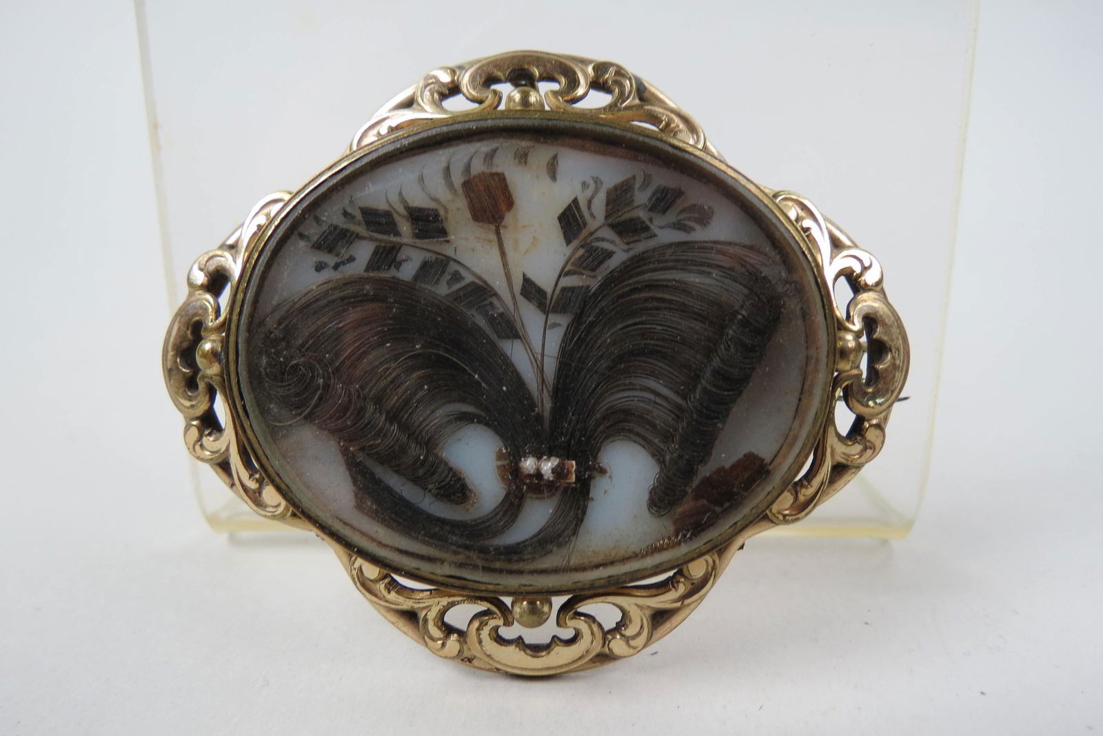 19th Century Mourning Brooch with Hair Artwork, (1 of 4)
