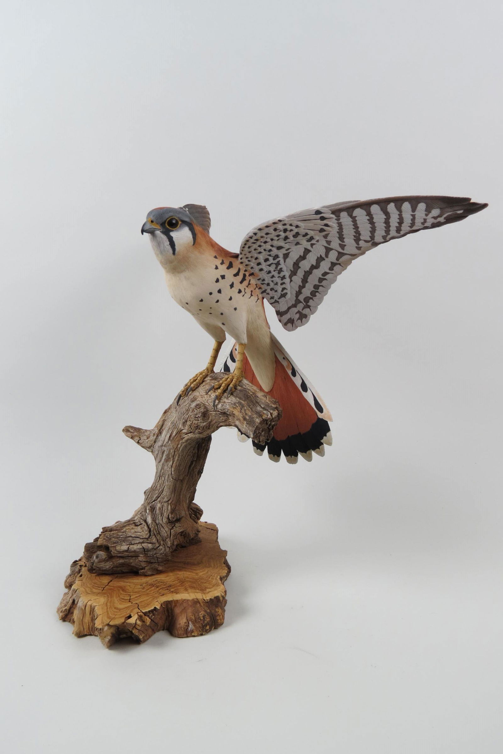 James Eddleman Carved Kestrel Hawk, (1 of 8)