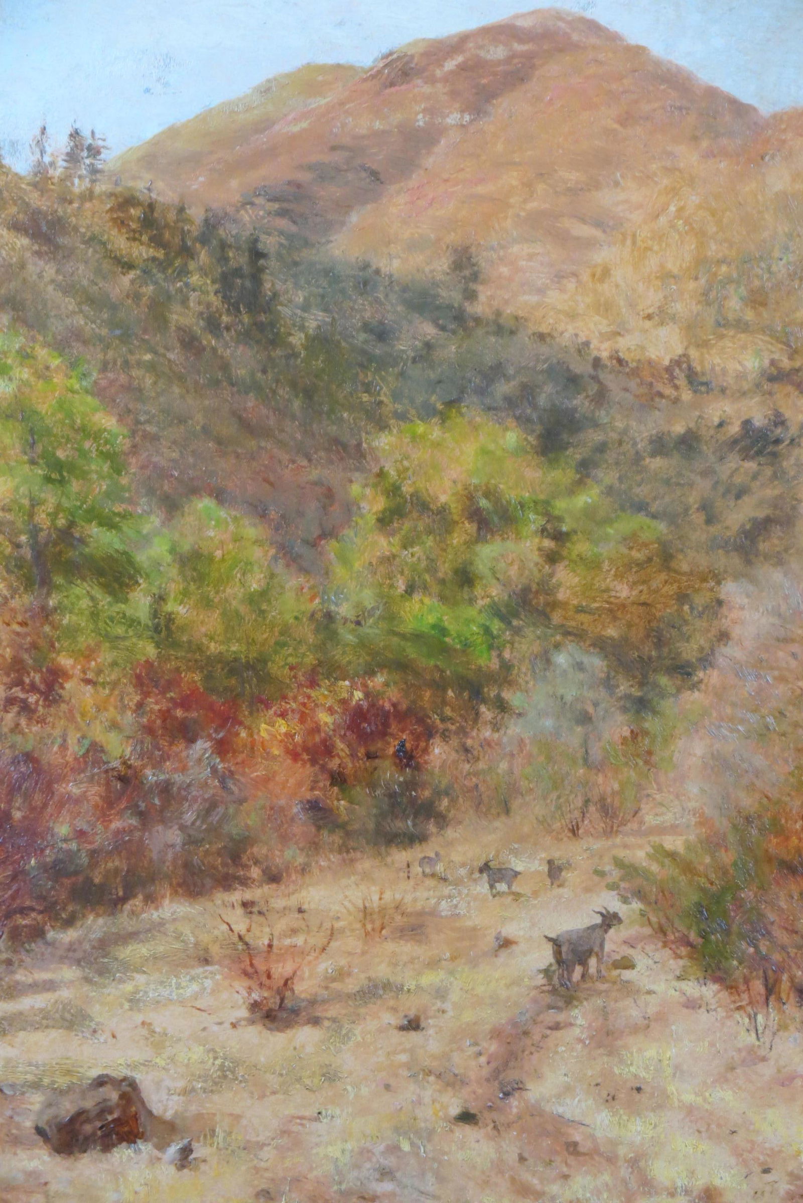 James Craig Nicoll, oil, California landscape, (1 of 5)