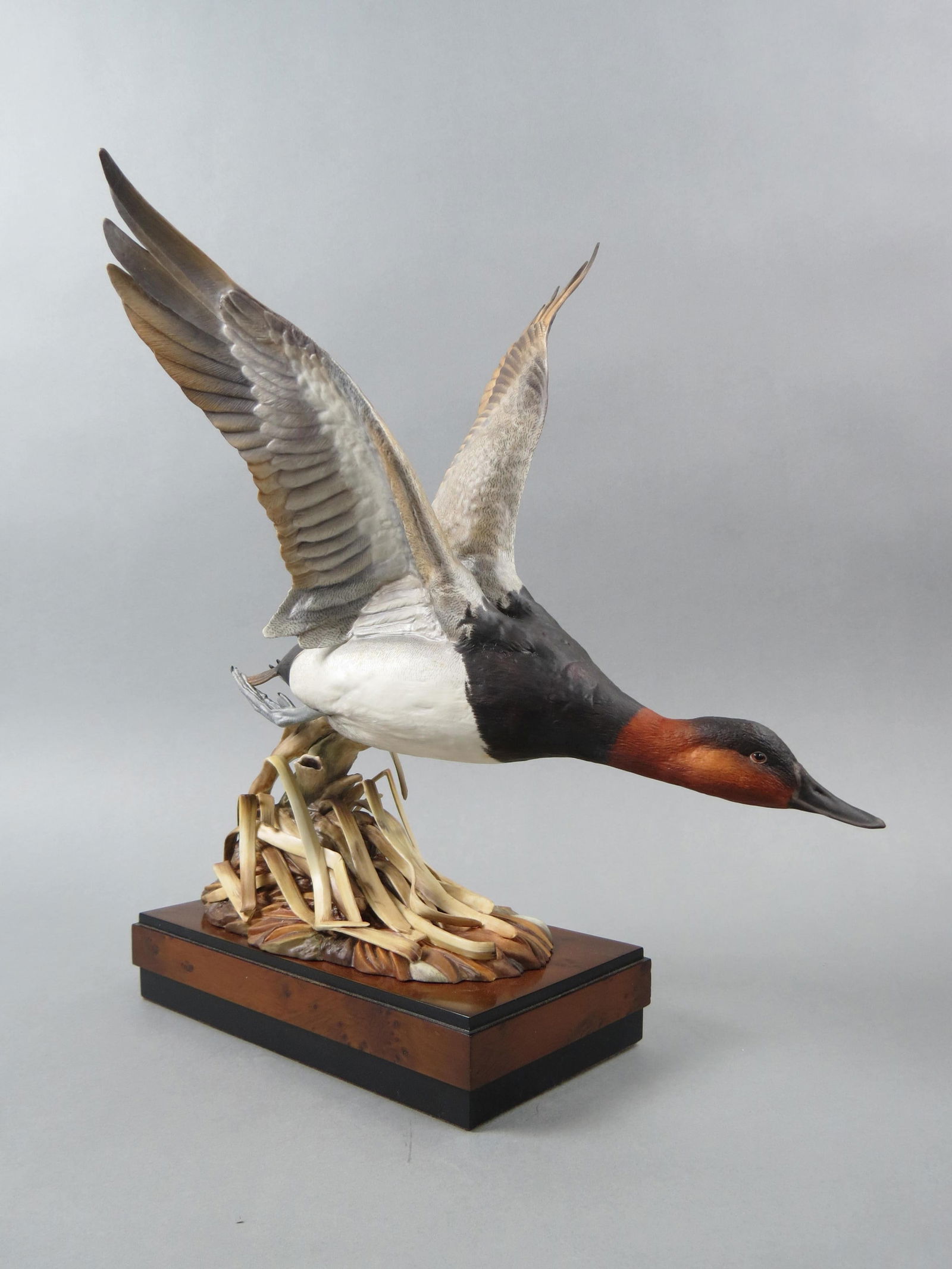 Royal Worcester Figurine "Canvas-Back Duck", by Ronald Van Ruyckevelt, #6 of 500, 15 1/2" wide,  17" (1 of 5)