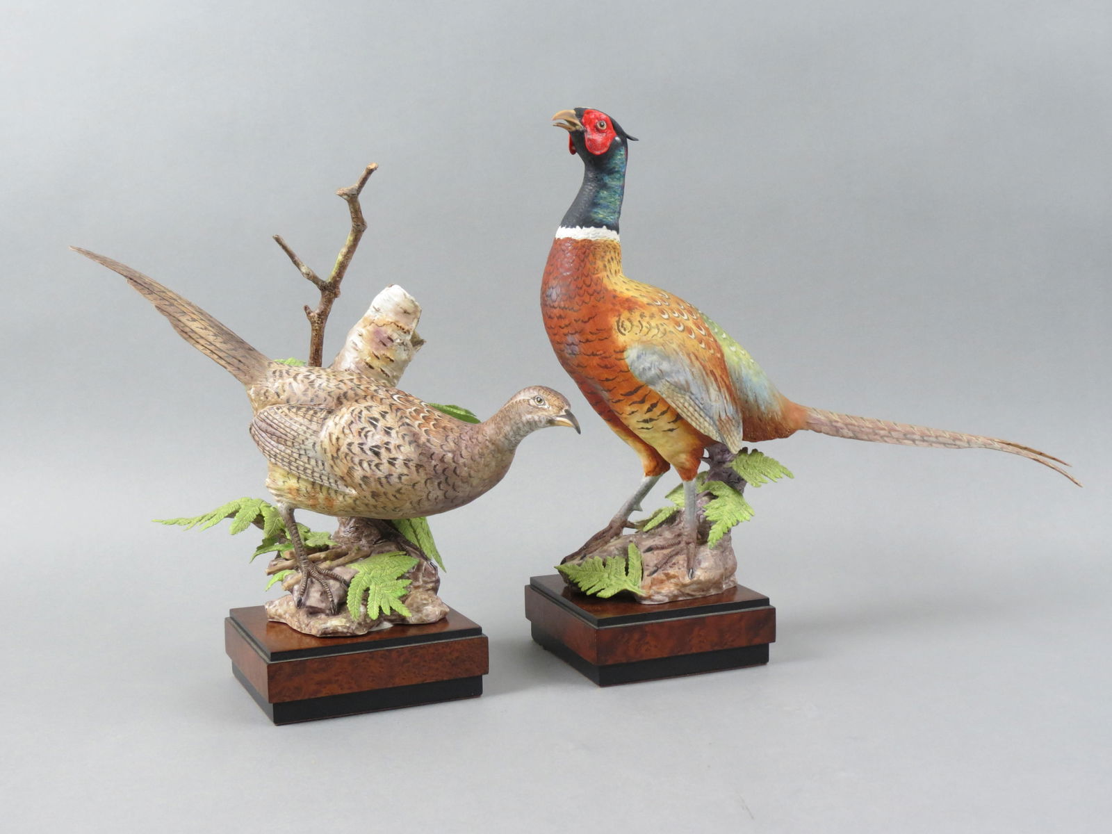 Pair of Royal Worcester Ring Neck Pheasants, male and female, by Ronald Van Ruyckevelt, bisque bone: Pair of Royal Worcester Ring Neck Pheasants, male and female, by Ronald Van Ruyckevelt, bisque bone china, issued in 1967, 12" X 13" and 13" X 17" plus wood bases, with original wood boxes.....Ronald