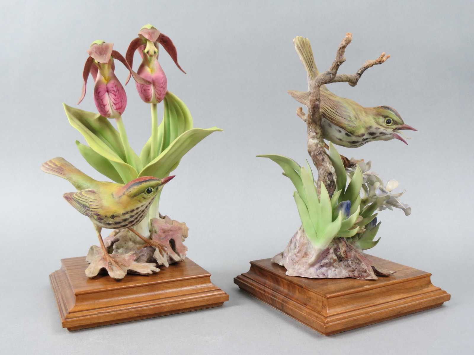 Pair of Royal Worcester Birds by Dorothy Doughty, "Oven Bird with Crested Iris and Lady's Slipper",: Pair of Royal Worcester Birds by Dorothy Doughty, "Oven Bird with Crested Iris and Lady's Slipper", male and female, issued in 1957, only 250 made, 10 1/2" plus wooden bases....Dorothy Doughty was bor
