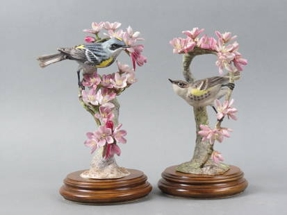 Pair of Royal Worcester Birds by Dorothy Doughty, "Myrtle Warbler & Weeping Cherry", male and: Pair of Royal Worcester Birds by Dorothy Doughty, "Myrtle Warbler & Weeping Cherry", male and female, issued in 1955, 9 1/2" plus wooden base...