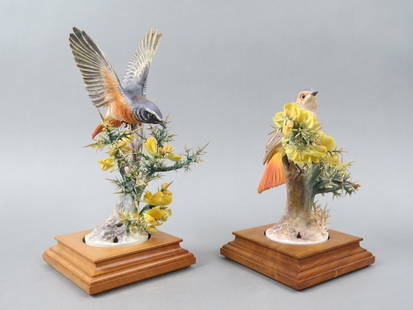 Royal Worcester Bird Figurine by Dorothy Doughty, Red Start & Corse, issued in 1968, 8" plus wooden: Royal Worcester Bird Figurine by Dorothy Doughty, Red Start & Corse, issued in 1968, 8" plus wooden base...