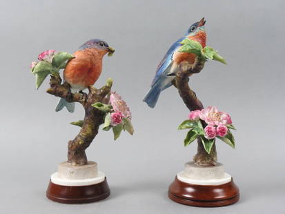 Pair of Royal Worcester Birds by Dorothy Doughty, "Bluebirds and Apple Blossoms", male & female,: Pair of Royal Worcester Birds by Dorothy Doughty, "Bluebirds and Apple Blossoms", male & female, issued in 1936, 10 1/2" plus wooden bases, with original wood boxes, a scarcer pair, only 350 made. In