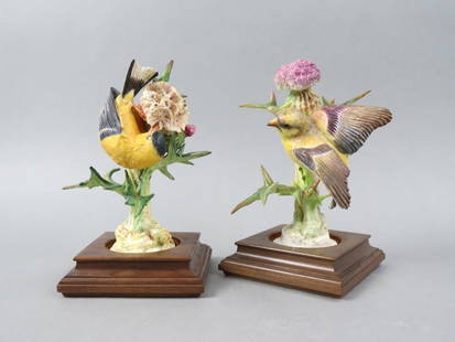 Pair of Royal Worcester Birds by Dorothy Doughty, "American Goldfinches and Thistles, male and: Pair of Royal Worcester Birds by Dorothy Doughty, "American Goldfinches and Thistles, male and female, issued in 1936, 7 1/2" plus wooden bases. a scarcer pair, only 250 made. In 1980 Sole Representat