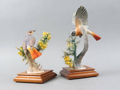 Pair of Royal Worcester Birds by Dorothy Doughty, "Redstarts and Corse", male and female, issued in: Pair of Royal Worcester Birds by Dorothy Doughty, "Redstarts and Corse", male and female, issued in 1968, 10 3/4" plus wooden bases, one with original wood box....Throughout its rich history, Royal