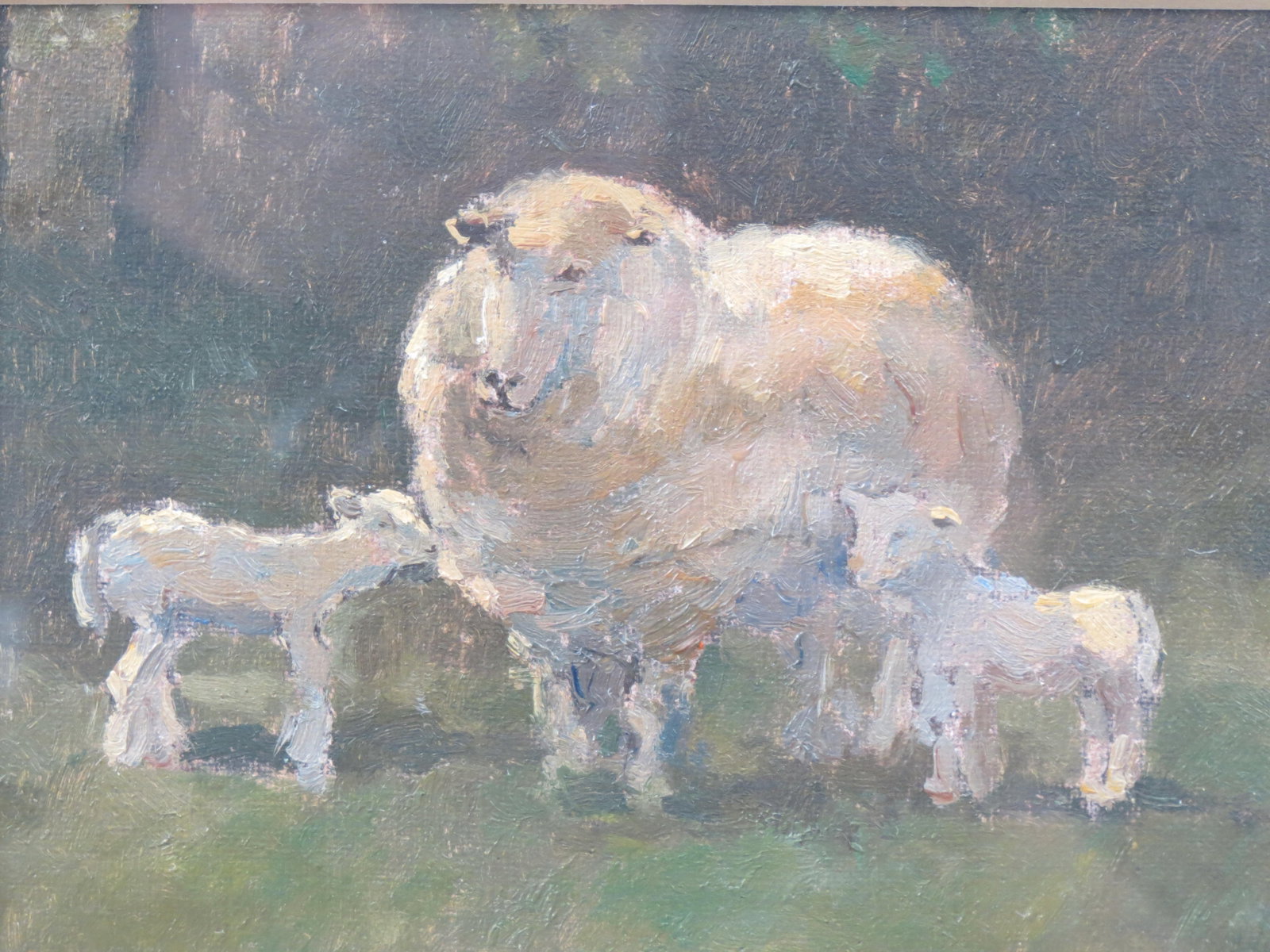 Miniature Oil Painting of Sheep by Mason,: image area 4 1/2" X 5 1/2" plus mat and frame.
