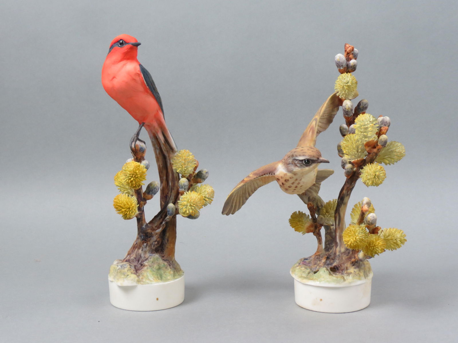 Pair of Royal Worcester Dorothy Doughty Birds, (1 of 7)
