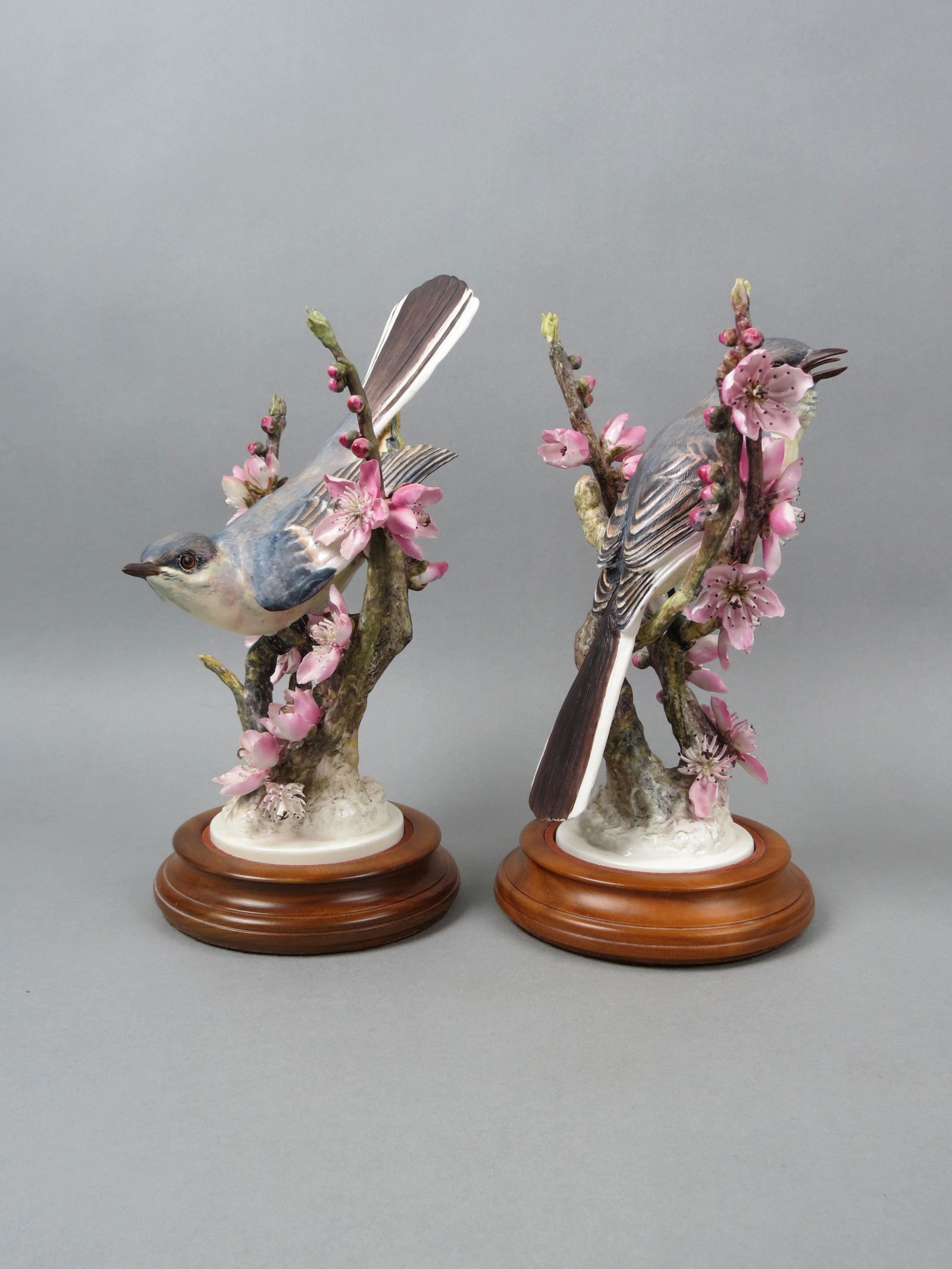 Pair of Royal Worcester Dorothy Doughty Birds, (1 of 8)