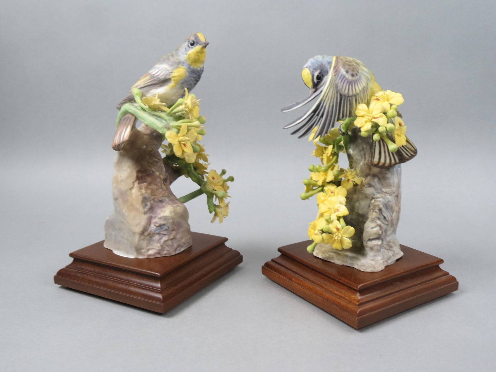 Pair of Royal Worcester Dorothy Doughty Birds, (1 of 9)