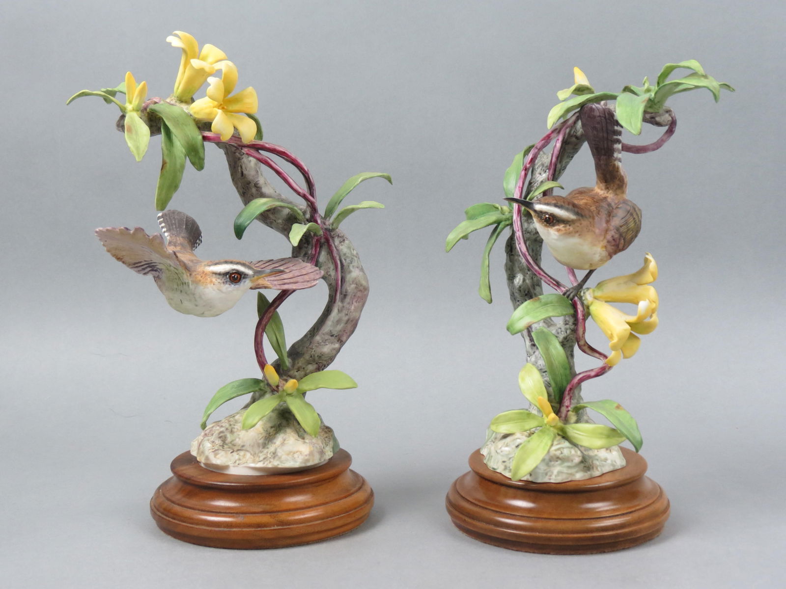 Pair of Royal Worcester Dorothy Doughty Birds, (1 of 8)