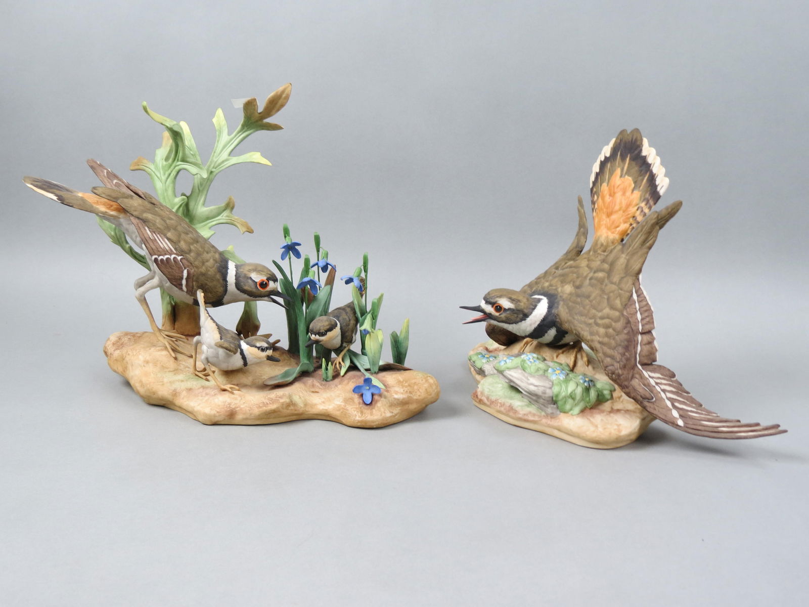 Pair of Boehm Porcelain Bird Figurines, (1 of 12)