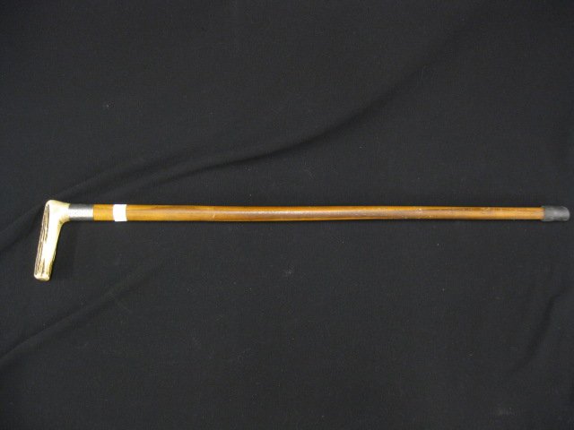 Antique Stag Handle Cane,: sterling collar, 31".