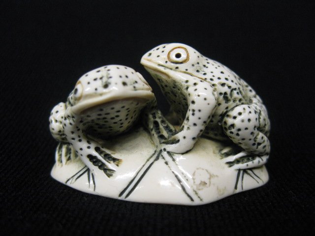 Carved Ivory Netsuke of Two Frogs,: on a lily pad, signed, 1 3/4".