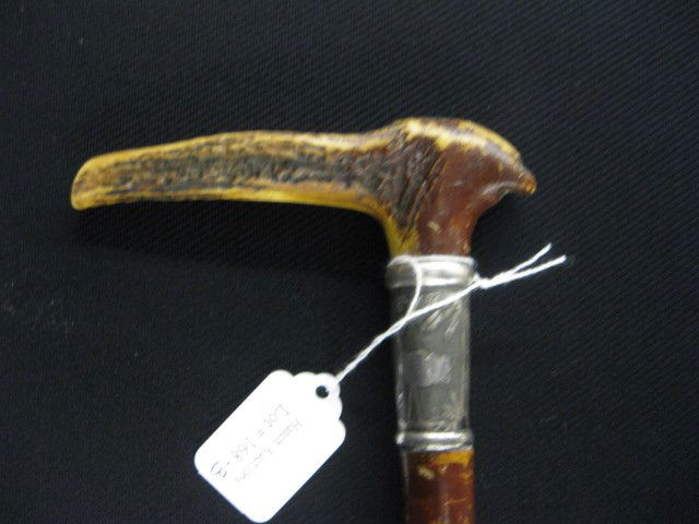 Antique Stag Handle Cane,: bird decorated collar, 36" long.