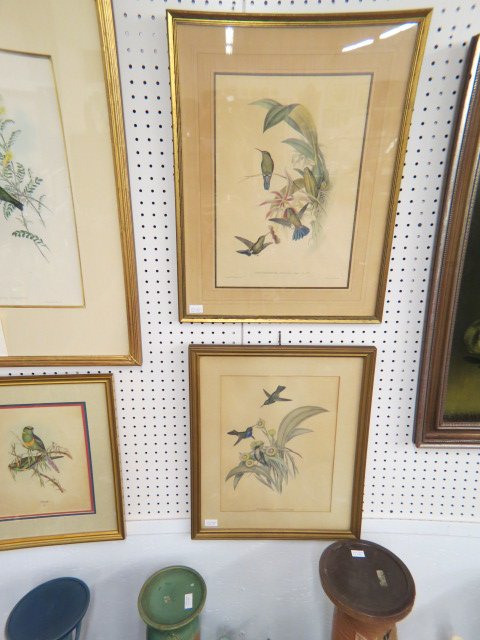Pair of John Gould Lithographs "Hummingbirds",: handcolored, each approx. 12" x 17", nicely framed.