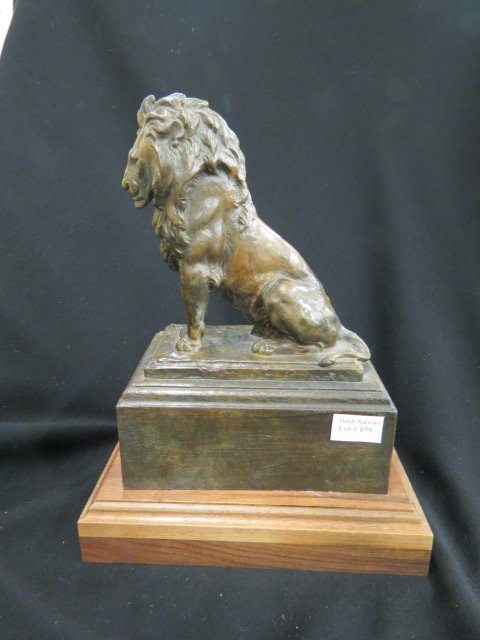 A.P. Proctor Bronze of a Seated Lion,: 11 1/2" tall, wooden base, excellent..artist proof, originally done for the Columbian Expostion or Chicago World's Fair, in 1892-93.. Alexander Phimister Proctor was born in Ontario Canada in 1862 to 