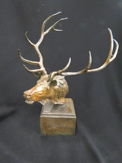 A.P. Proctor Bronze of an Elk's Head,: 11 1/2" tall.... Alexander Phimister Proctor was born in Ontario Canada in 1862 to second generation pioneers. In the spring of 1871 the family moved to Denver, Colorado with the hope of prosperity. E