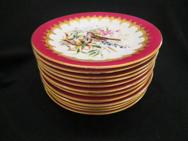 Set of 12 Tiffany Royal Worcester Plates,: handpainted with different birds & florals, 9" diameter, burgundy & gold trim, circa 1900, a gorgeous set.