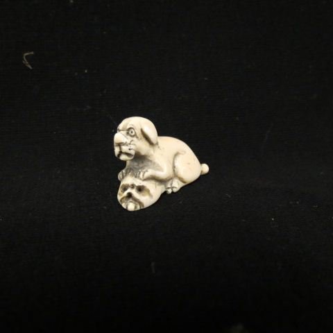 Carved Ivory Netsuke of a Foo Dog: with mask at his feet, 1 5/8' long, excellent.