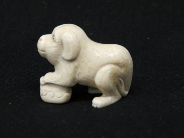 Carved Ivory Netsuke of a Foo Dog,: signed, 1 1/2" tall, 1 3/4" long, excellent.