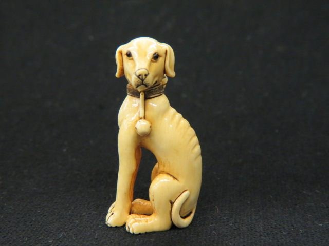Carved Ivory Netsuke of a Hound,: 2", signed, excellent.