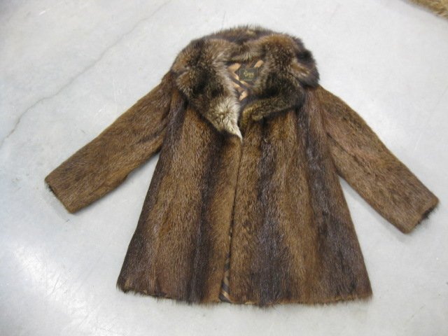 Beaver Fur Coat with Fox Collar,: ladies, medium.