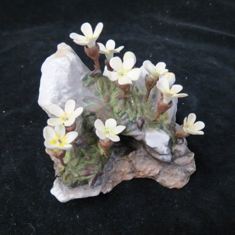 Boehm Porcelain Figurine Dispensia: rare wild flower collection, 3 1/2, excellent... E. M. Boehm, now Boehm Porcelain, is the artisan studio founded by sculptor Edward and wife Helen Boehm in 1950. It is today recognized as one of the w