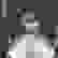 item-27151862=2