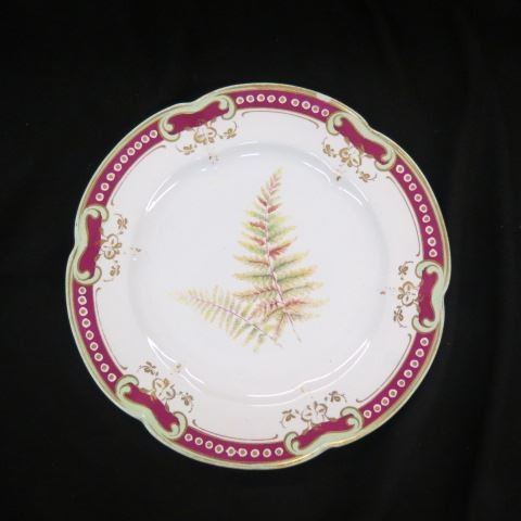 6 Early English Ironstone Botanical Plates,: 9 1/4".