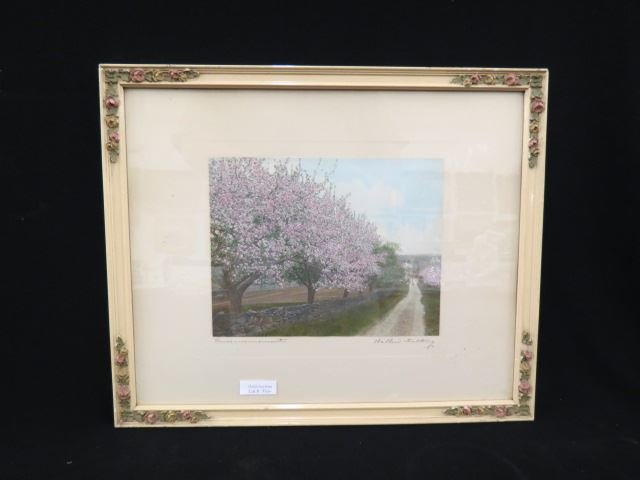 Wallace Nutting Print "Commencement",: apple blossoms along a country road, signed, image area 7 1/4" x 9 1/4".