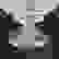 item-40868119=3