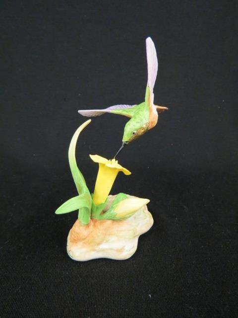 Boehm Porcelain Figurine "Allen's Hummingbird",: with trumpet vase, #40528, 6", excellent.