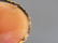 14k Gold Cameo Brooch or Pendant, - 3