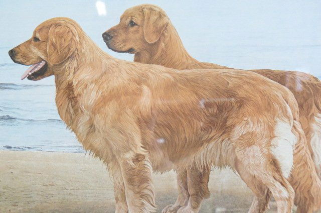 John Weiss, lithograph, (1 of 3)