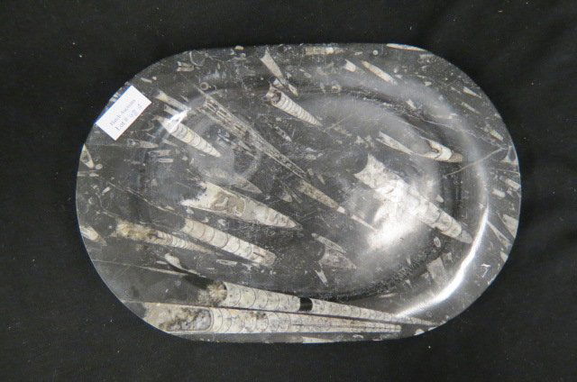 Natural Stone Fossil Specimen Tray (1 of 1)