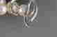 item-42479423=3