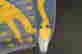 item-44041223=5