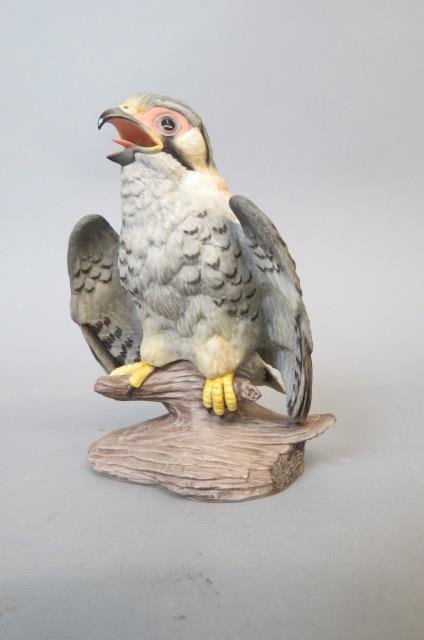 Boehm Porcelain Figurine of a Fledgling: Sparrow Hawk, #400-62, 6" tall, excellent....Boehm is the collector's name for the porcelains of Edward Marshall Boehm. In 1949, Boehm had developed a hard-paste porcelain that he used to make sculptu