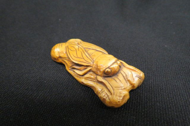 Chinese Carved Ivory Netsuke of Bug, (1 of 4)