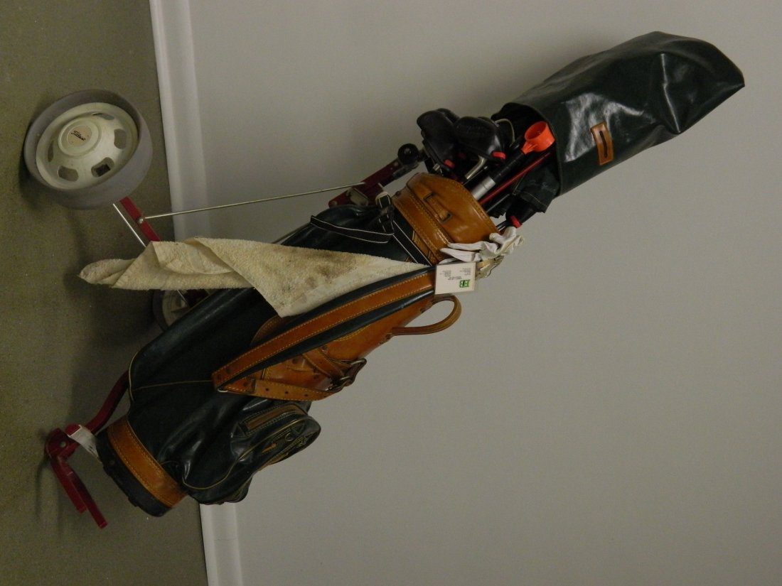 King Snake 18 Club Golf Set Irons Woods