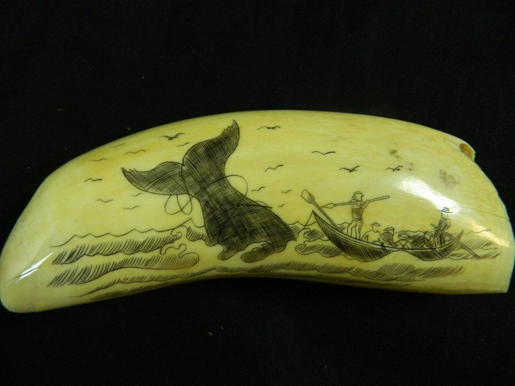 Scrimshaw Ivory Whale Tooth Carving