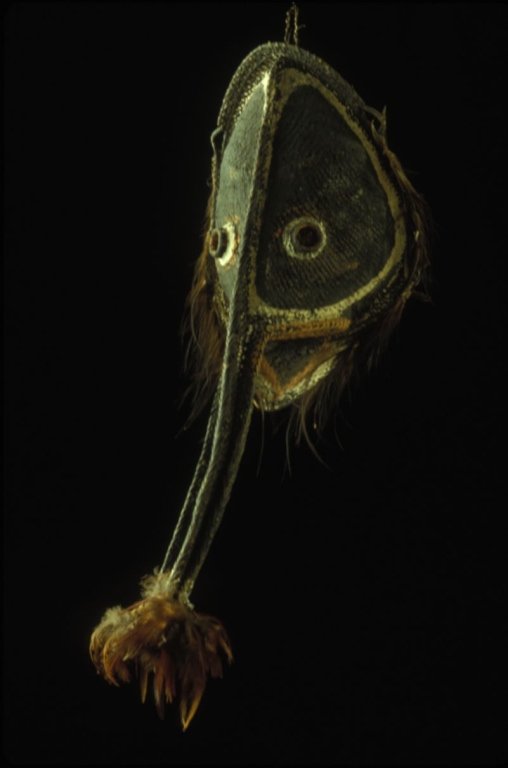 Papua New Guinea Yam Mask: #69 35" Woven Yam Mask, very long nose tipped with feathers from the Maprik Area.