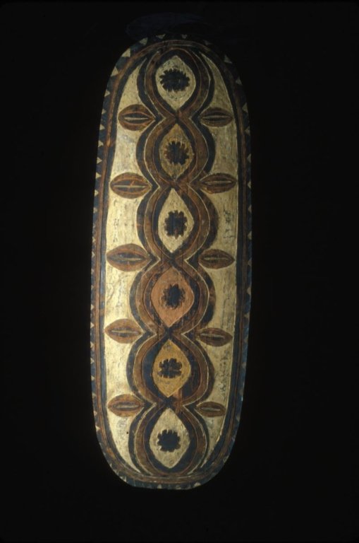 Papua New Guinea War Shield: #145 59" high war shield from the April or May River. Some splitting wood.